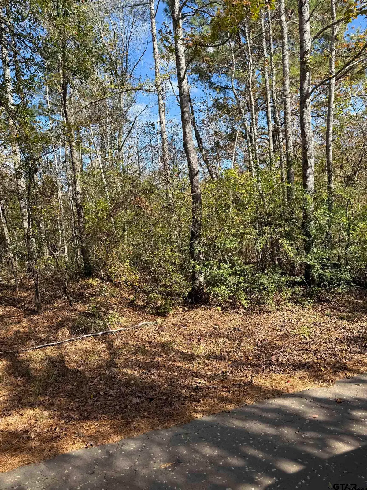 TBA ACR 1204, Elkhart, TX 75839 - Image #1