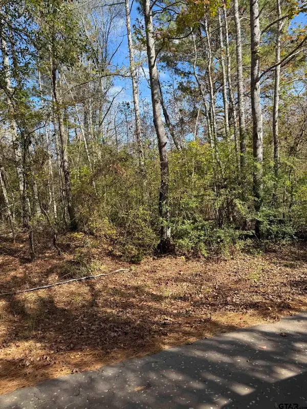 TBA ACR 1204, Elkhart, TX 75839