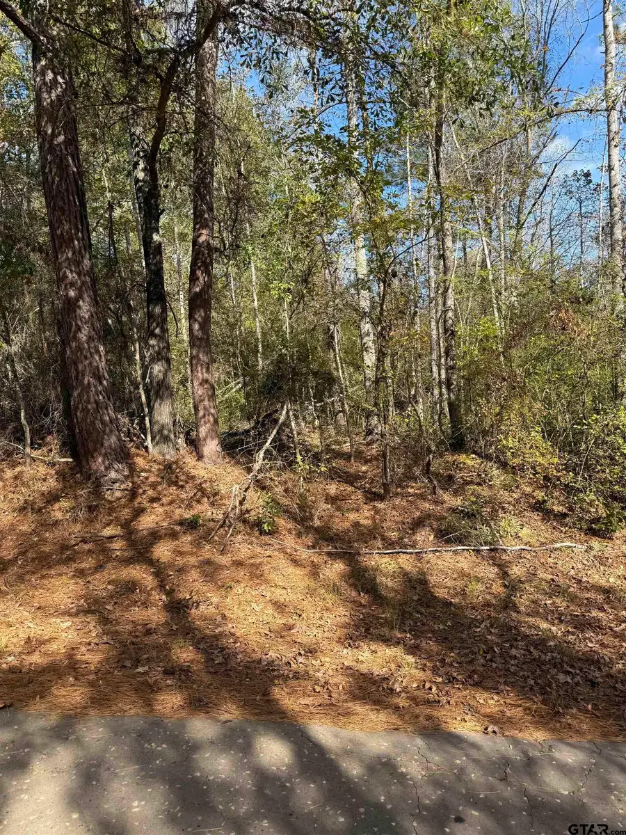 TBA ACR 1204, Elkhart, TX 75839 - Image #2