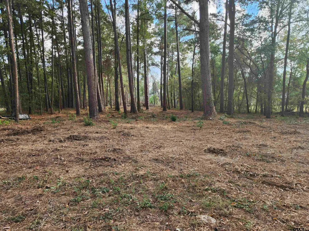 371 CR 4152, Pittsburg, TX 75686 - Image #1