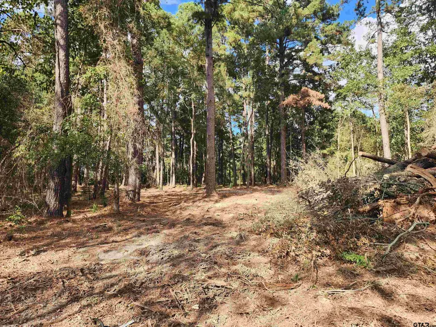 371 CR 4152, Pittsburg, TX 75686 - Image #2