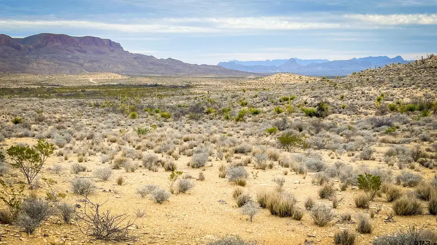 4500 You're Lost (Main), Terlingua, TX 79852 - Image #2