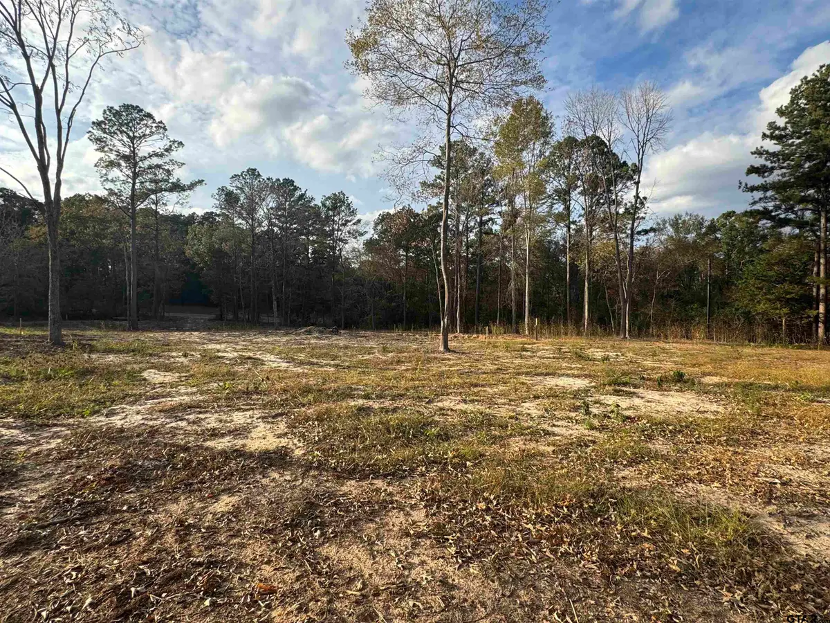 17365 FM 2089, Overton, TX 75684 - Image #1