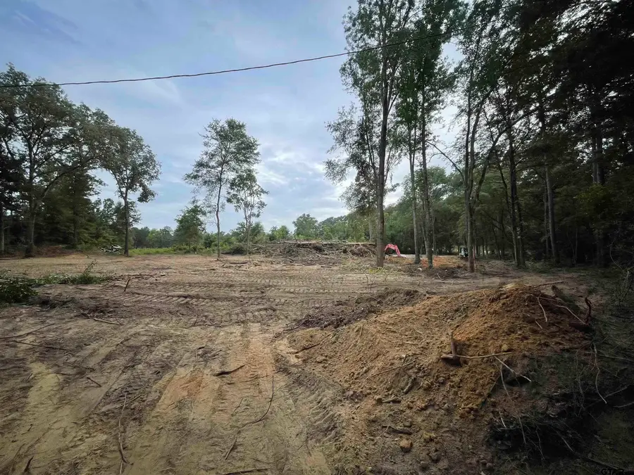 17365 FM 2089, Overton, TX 75684 - Image #2