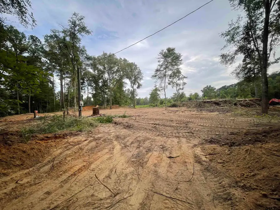 17365 FM 2089, Overton, TX 75684 - Image #3