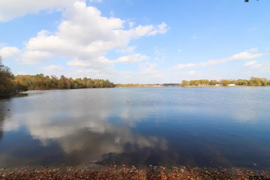 TBD CR 1035 8.6 AC, Mount Pleasant, TX 75455 - Image #2