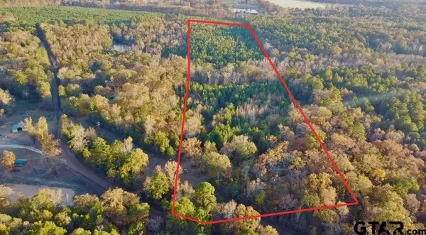 TBD Cactus Rd, Pittsburg, TX 75686