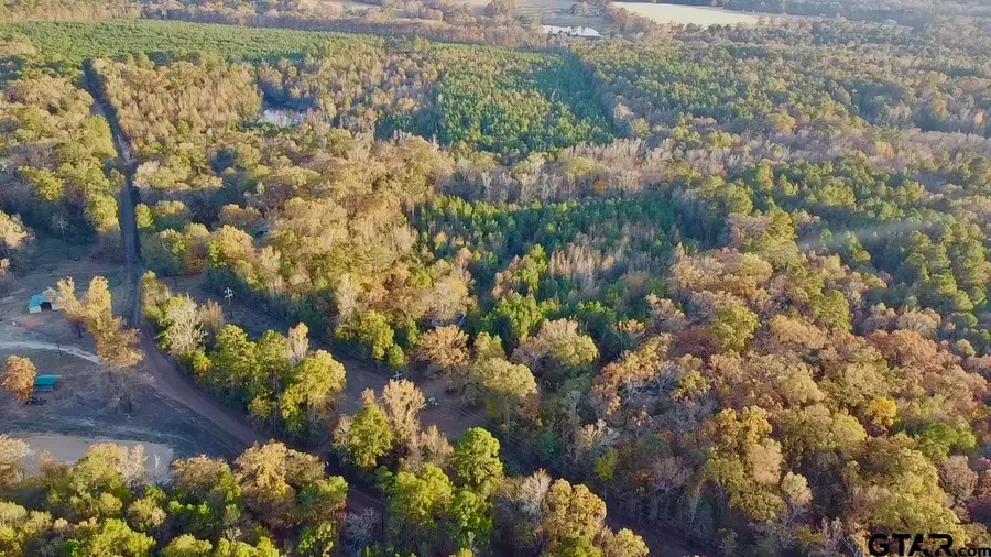 TBD Cactus Rd, Pittsburg, TX 75686 - Image #2