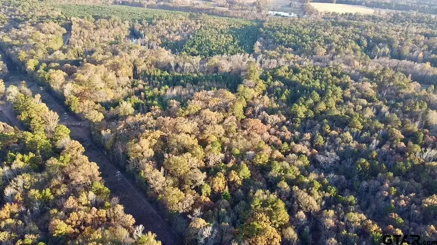 TBD Cactus Rd, Pittsburg, TX 75686 - Image #3