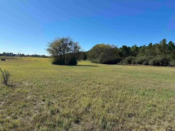 11B  / TBD Old Spanish Trial Drive, Alto, TX 75925