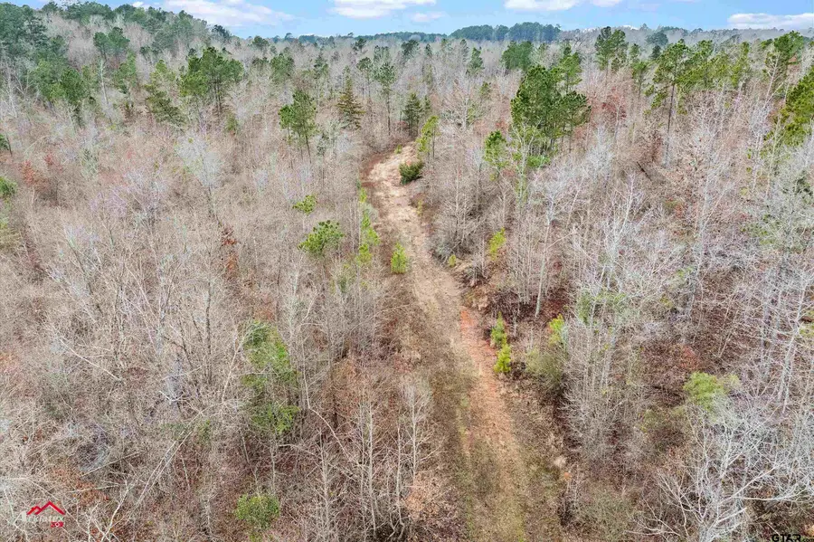 TBD Haynes Rd., Marshall, TX 75672 - Image #2