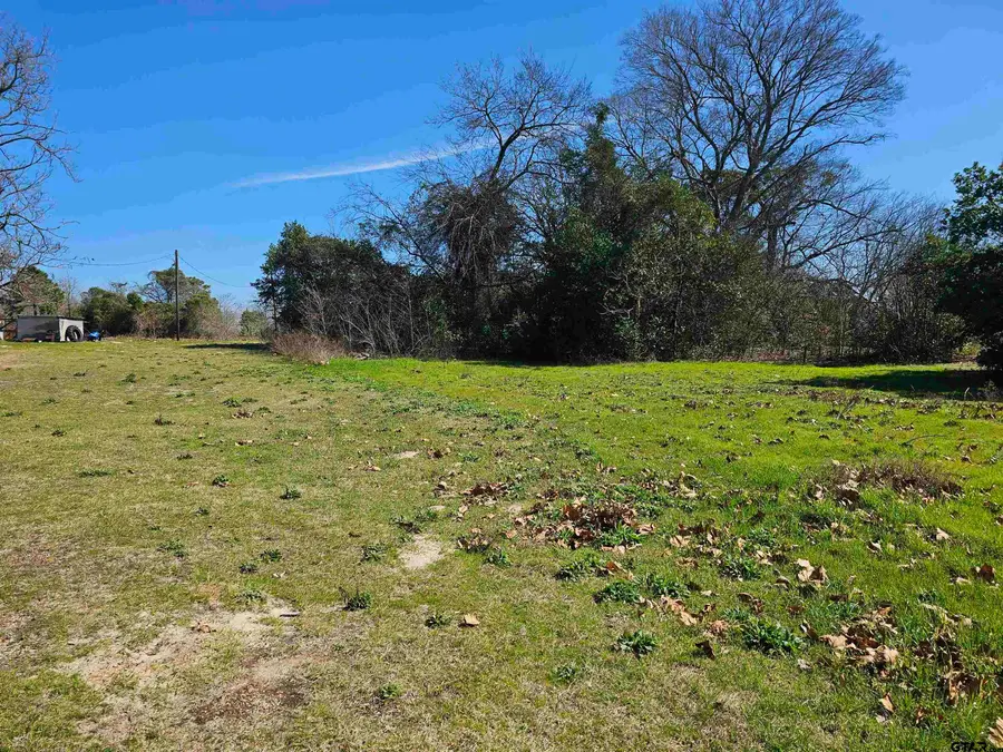 TBD FM 1002 & PR 3811, Big Sandy, TX 75755 - Image #2