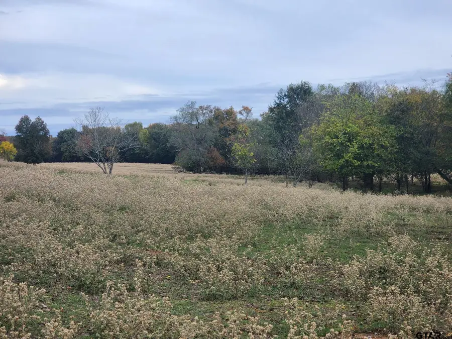 000 County Road 4919, Quitman, TX 75783 - Image #3