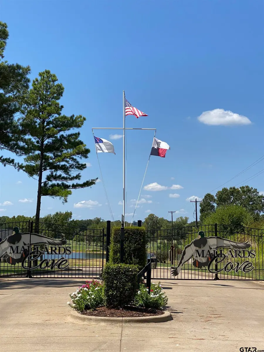 22245 Mallards Cove Ct, Bullard, TX 75757 - Image #2