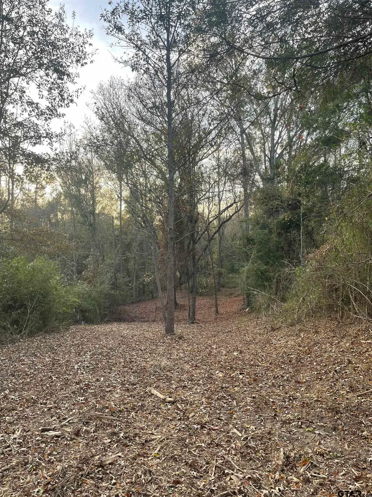 TBD FM 1804, Mineola, TX 75773 - Image #1