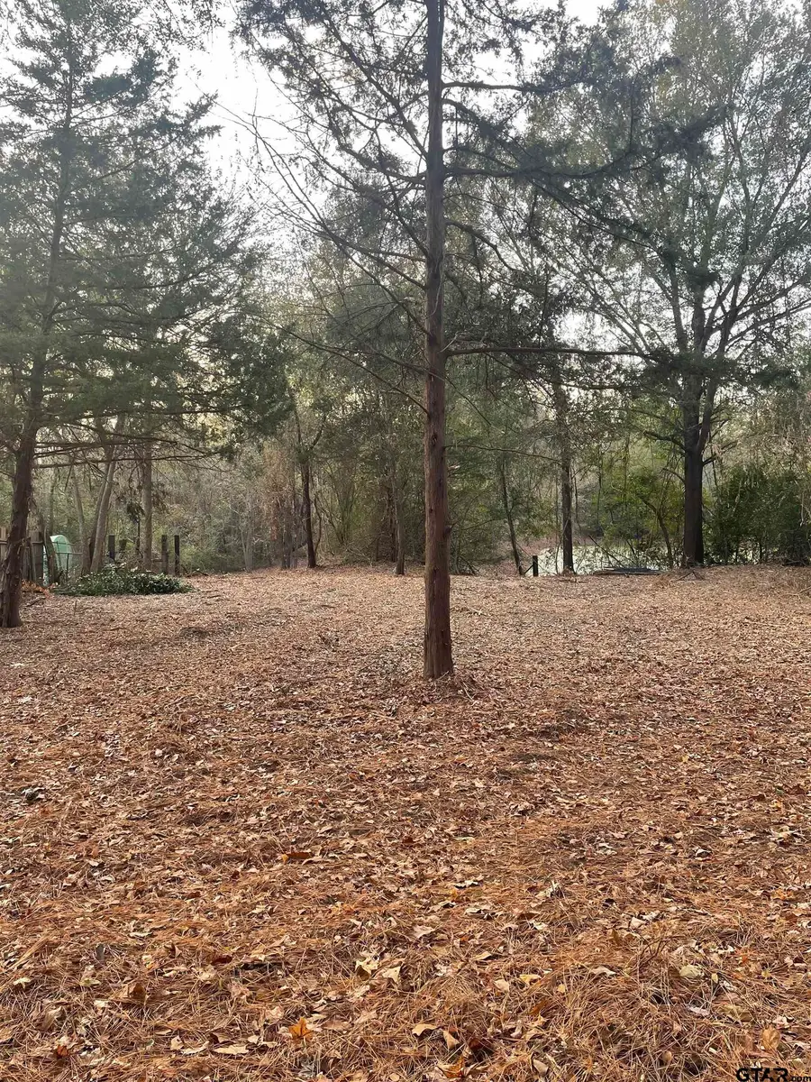 TBD FM 1804, Mineola, TX 75773 - Image #2