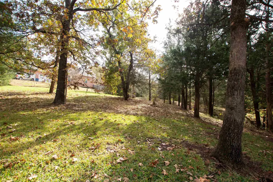 128 Lake Lou Ella Dr, Bullard, TX 75757 - Image #3