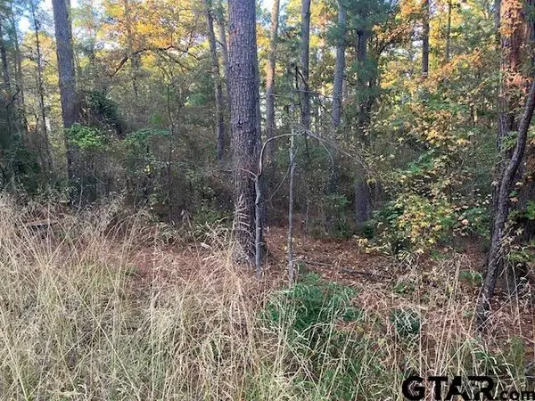 1657 Pineview DR, Hideaway, TX 75771