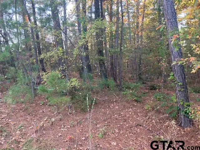 1657 Pineview DR, Hideaway, TX 75771 - Image #2