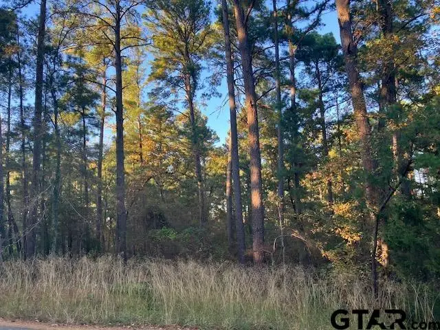 1657 Pineview DR, Hideaway, TX 75771 - Image #3