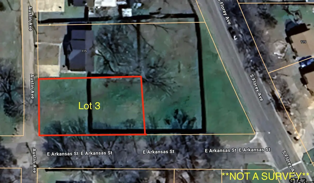 TBD Austin St., Mount Pleasant, TX 75455 - Image #1