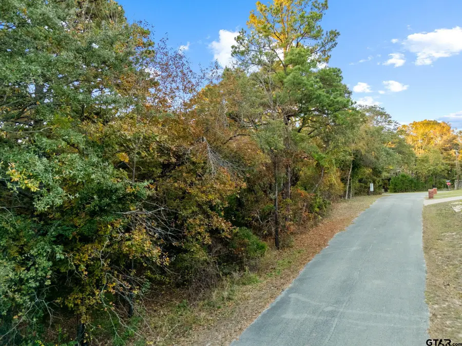 20745 Bay Shore Drive, Flint, TX 75762 - Image #2