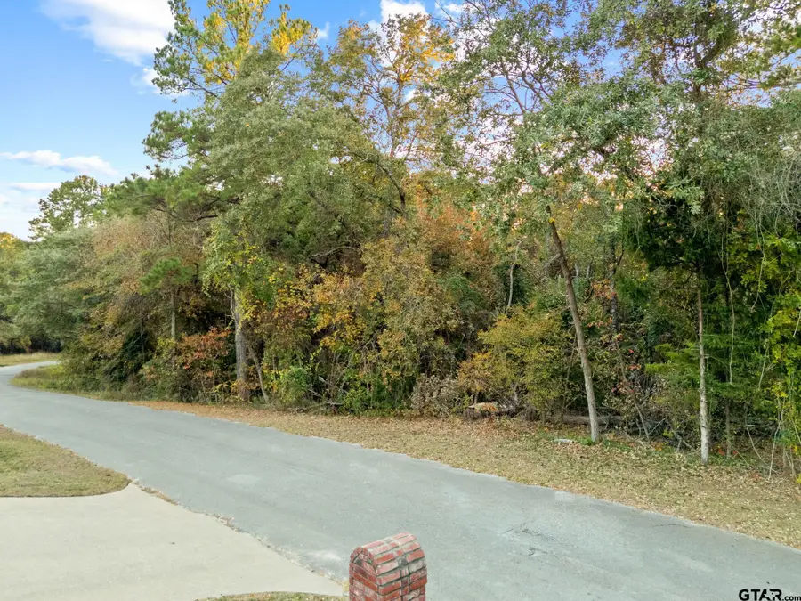 20745 Bay Shore Drive, Flint, TX 75762 - Image #3