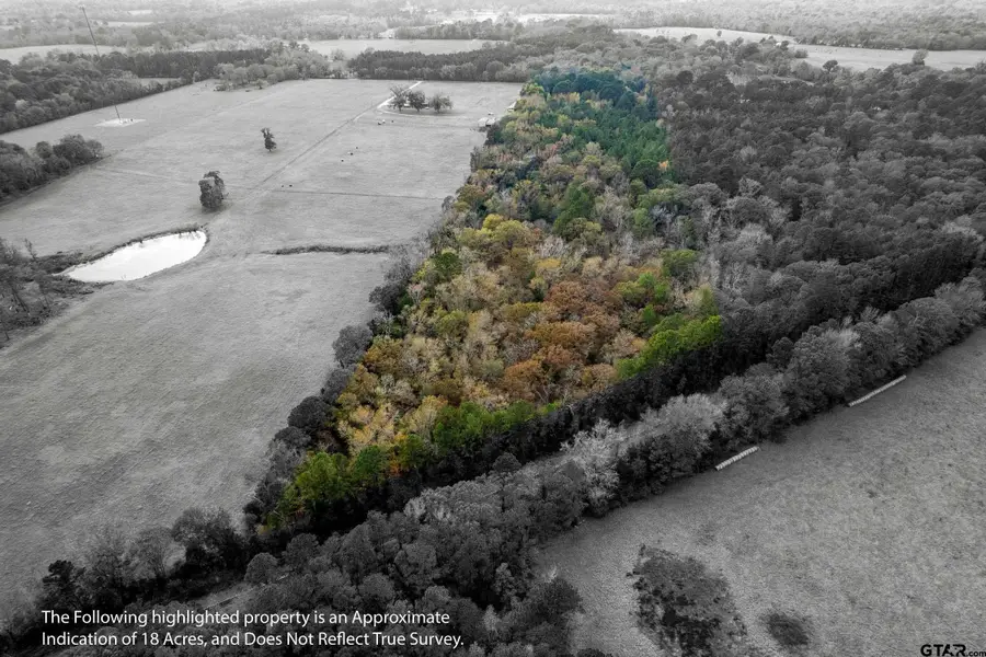 590 An County Road 169, Elkhart, TX 75839 - Image #2