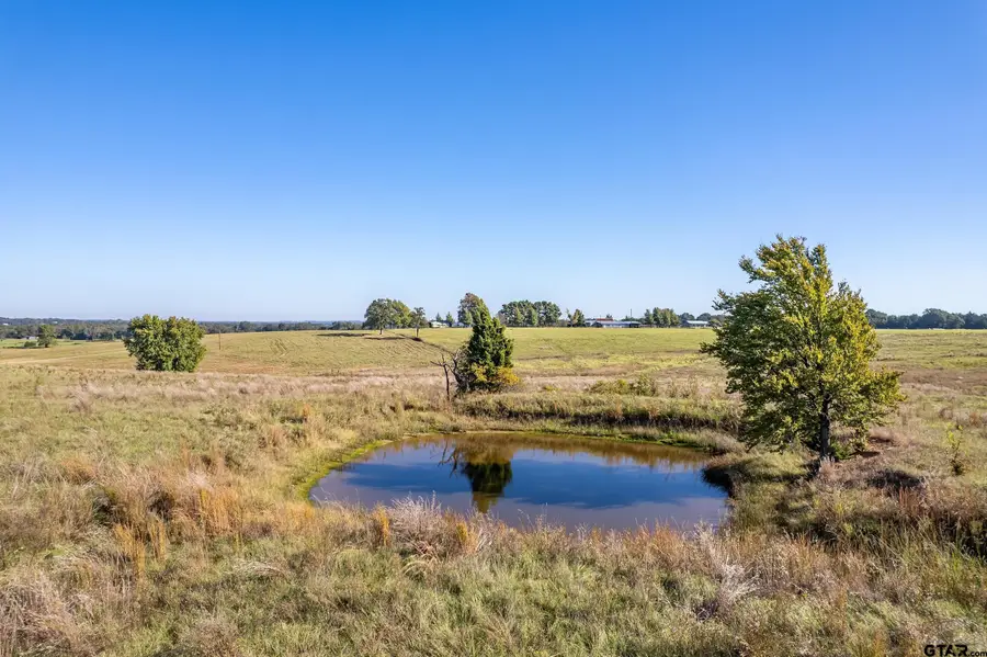 000 CR 4331, Larue, TX 75770 - Image #3
