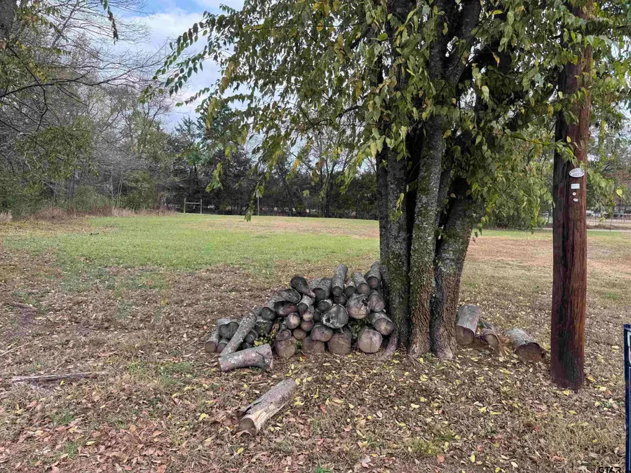 Lot 495, 496 San Saba, Mount Vernon, TX 75457 - Image #2