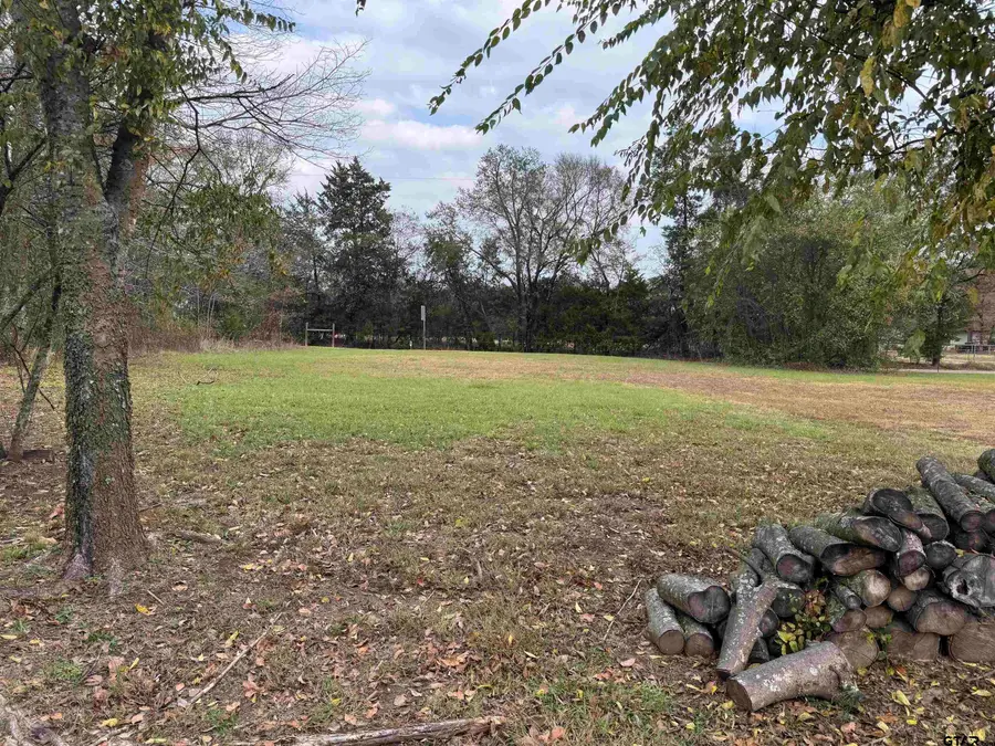 Lot 495, 496 San Saba, Mount Vernon, TX 75457 - Image #3