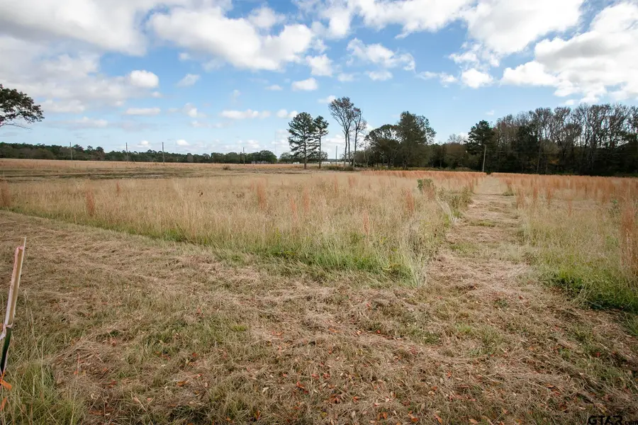 TBD 0- Lt 8 FM 1892, Frankston, TX 75763 - Image #3