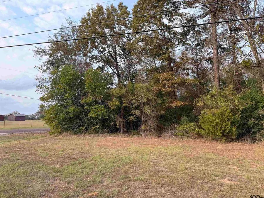 TBD FM 2016, Tyler, TX 75706 - Image #3