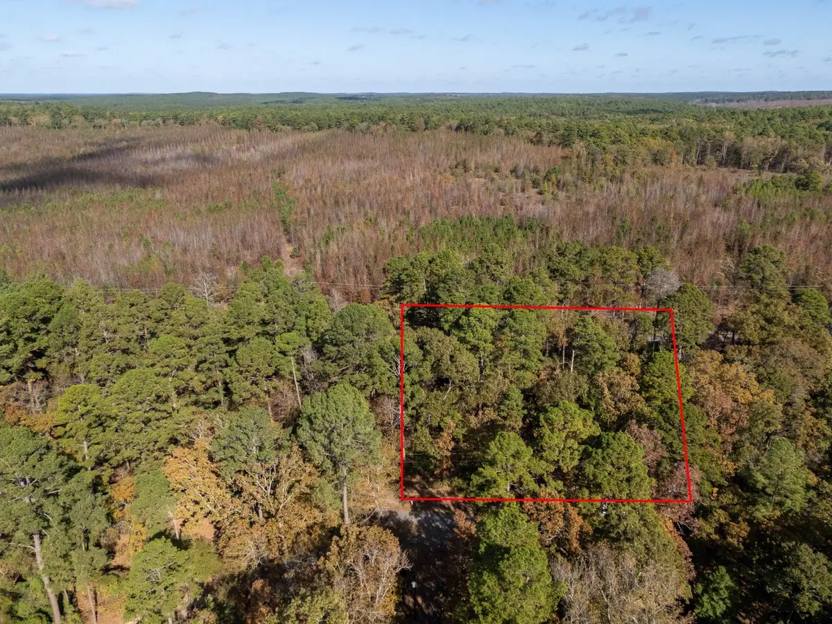 TBD Rolling Ridge, Holly Lake Ranch, TX 75765 - #1