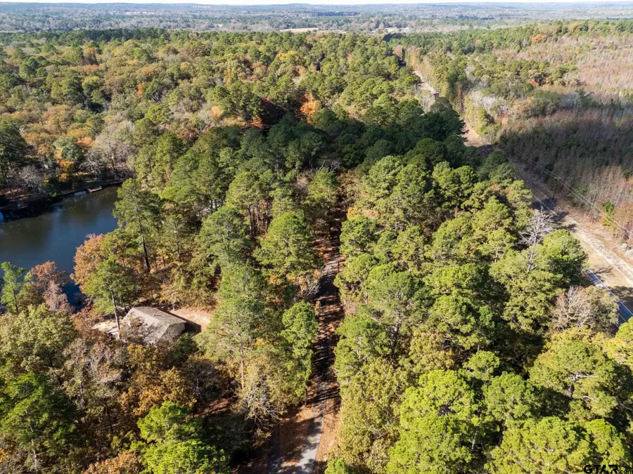 TBD Rolling Ridge, Holly Lake Ranch, TX 75765 - #2