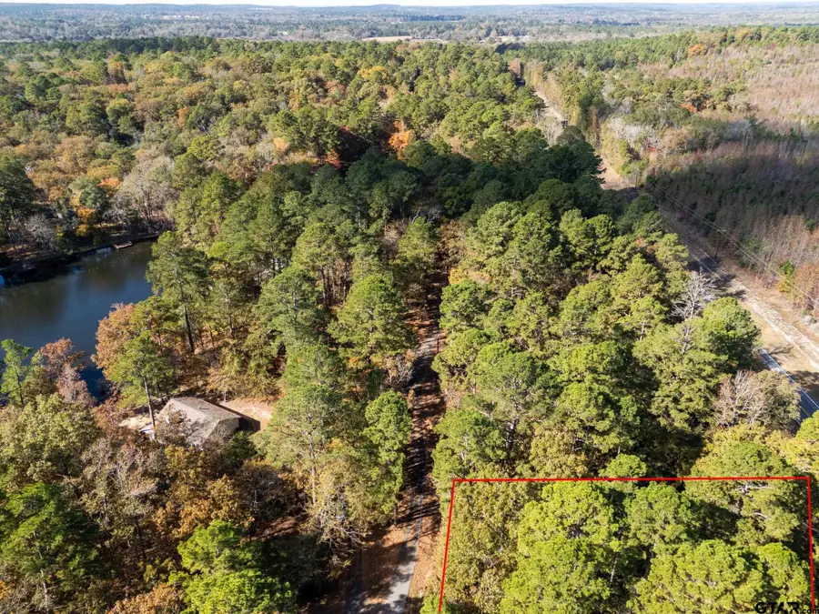 TBD Rolling Ridge, Holly Lake Ranch, TX 75765 - #3