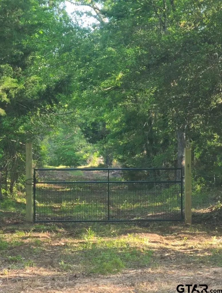 0 An County Road 441, Palestine, TX 75803 - Image #3