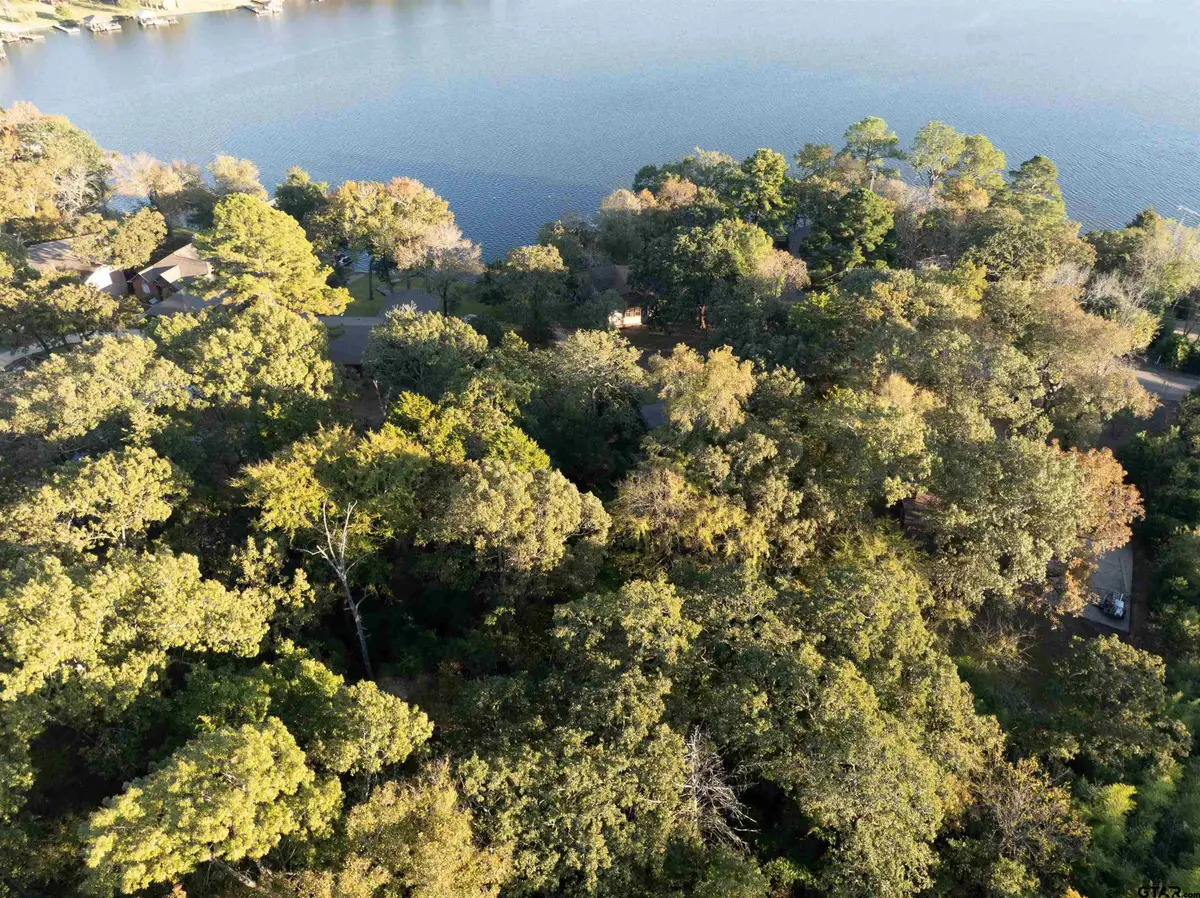 000 Callender Lake Drive, Murchison, TX 75778 - Image #1