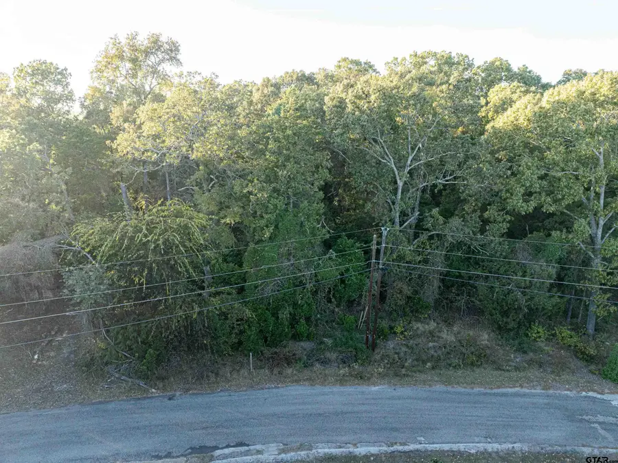 000 Callender Lake Drive, Murchison, TX 75778 - Image #3