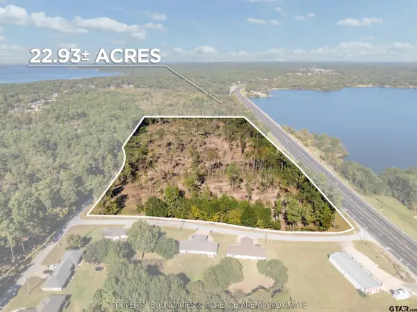 17446 PINTAIL DR, Flint, TX 75762