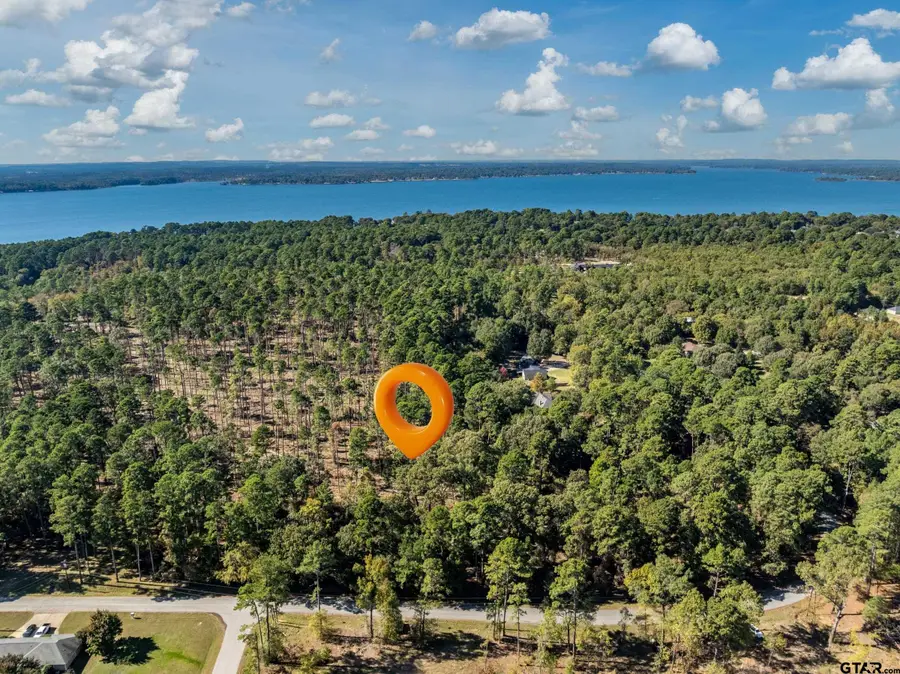 0 Pintail, Flint, TX 75762 - Image #2