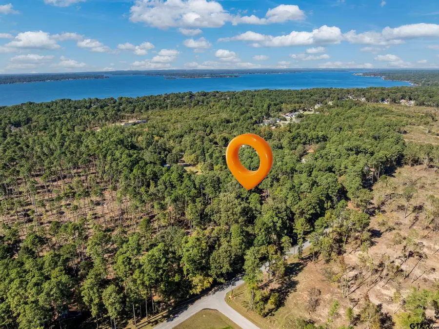 0 Pintail, Flint, TX 75762 - Image #3