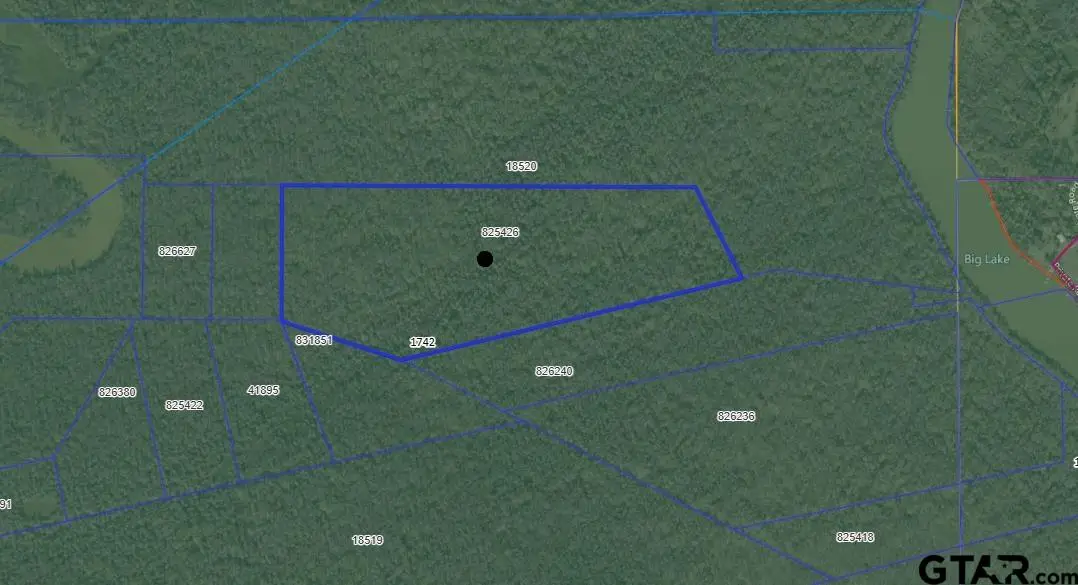 TBD PR 6903, Palestine, TX 75803 - Image #1