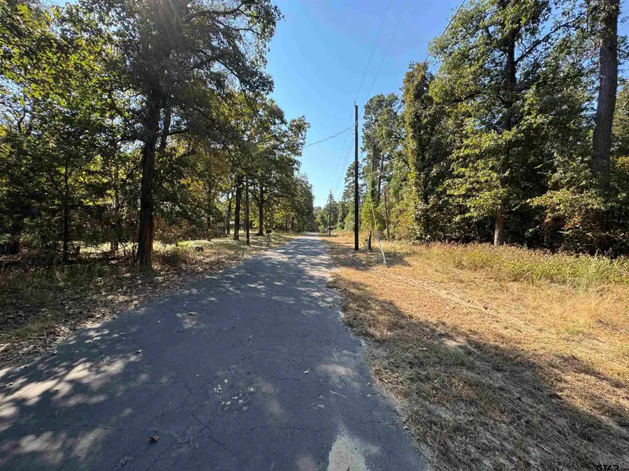 Lot 336 King Bernanrd, Scroggins, TX 75480 - Image #3