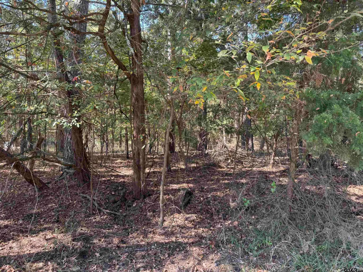 Lot 69 Kings Lake, Scroggins, TX 75480 - Image #1