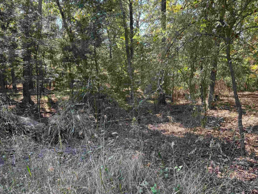 Lot 69 Kings Lake, Scroggins, TX 75480 - Image #2