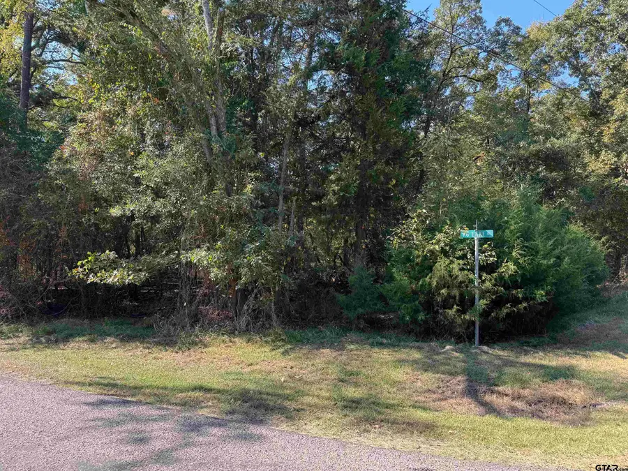 Lot 69 Kings Lake, Scroggins, TX 75480 - Image #3