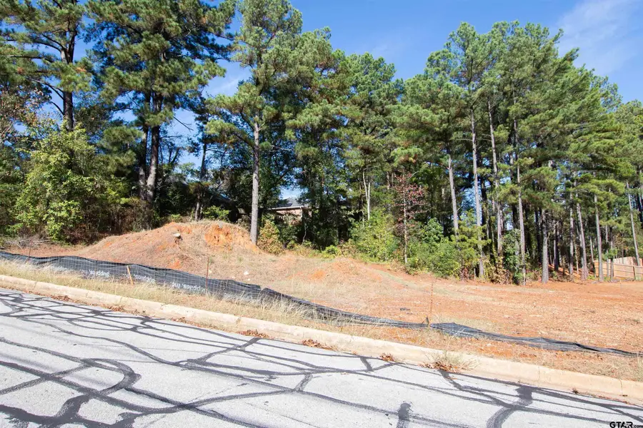 1209 Terre Haute, Tyler, TX 75701 - Image #3