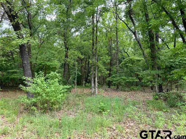 23526 FM 1995, Lindale, TX 75771