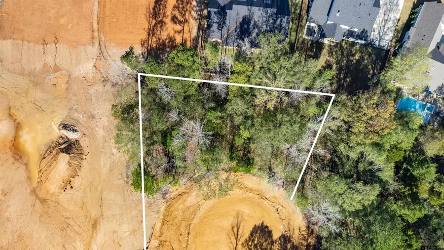 2405 Bent Creek Trl, Tyler, TX 75703 - Image #3